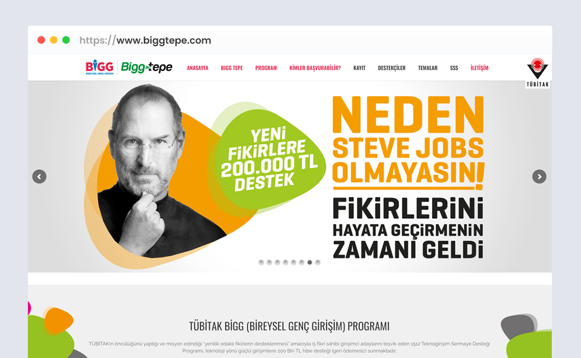 Bigg Tepe web tasarım referansı