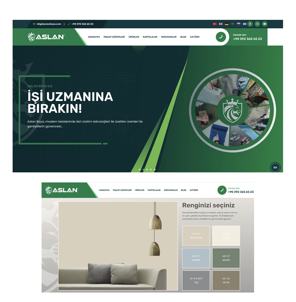 Aslan Boya web tasarım referansı